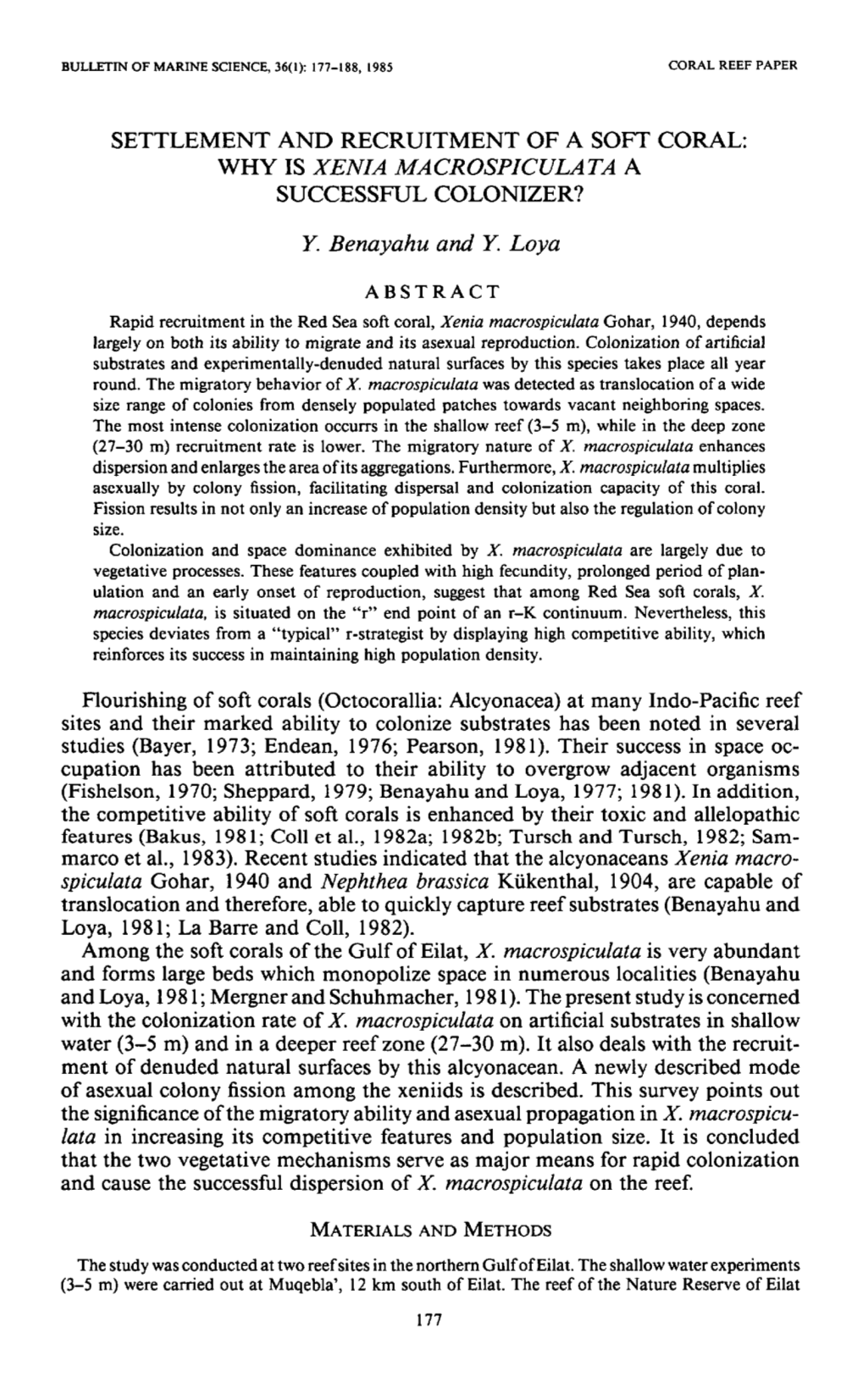 Settlement and Recruitment of a Soft Coral: Why Is <I>Xenia Macrospiculata</I> a Successful Colonizer?