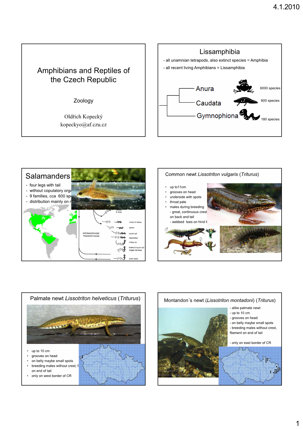 Amphibians and Reptiles of the Czech Republic Salamanders (Caudata, Urodela)