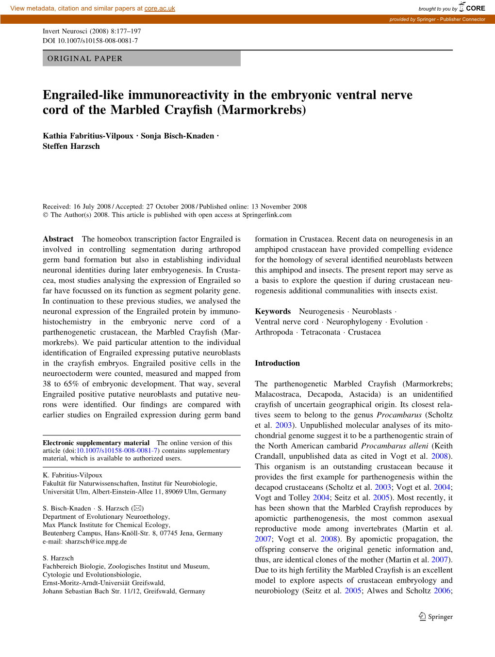 Engrailed-Like Immunoreactivity in the Embryonic Ventral Nerve Cord of the Marbled Crayfish