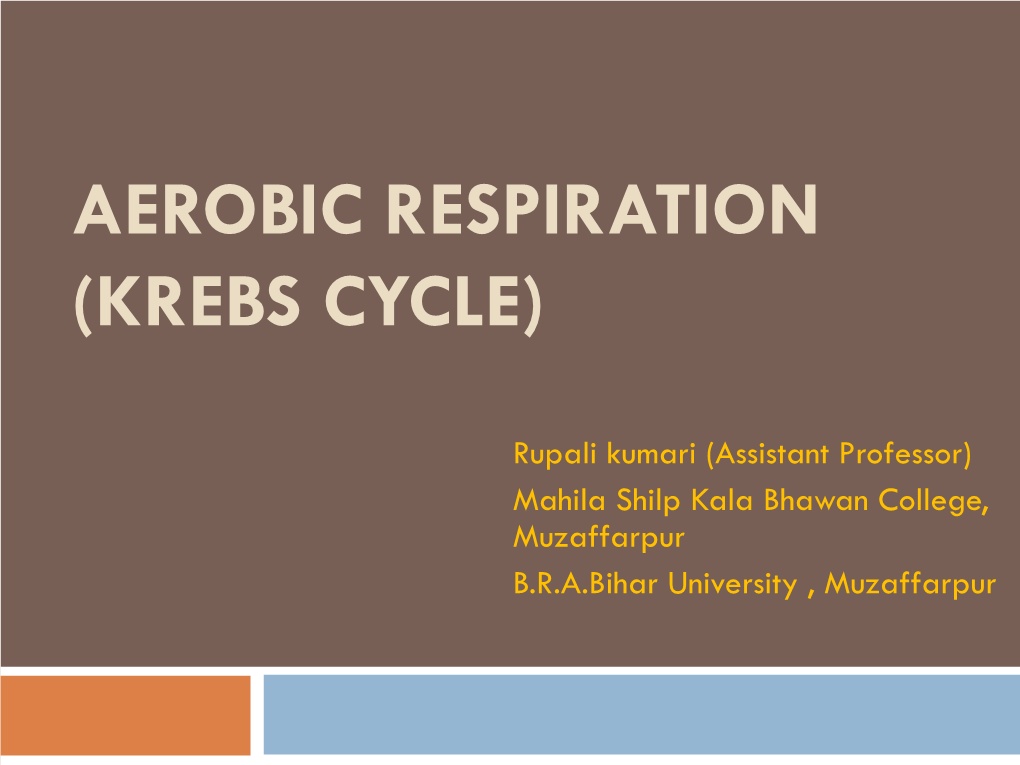 Stage III of Respiration: TCA Cycle Or Krebs Cycle