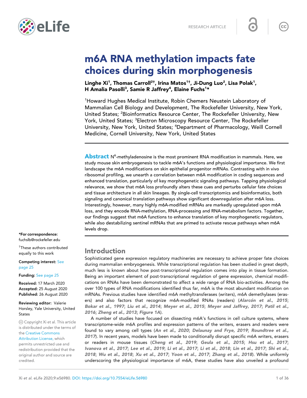 M6a RNA Methylation Impacts Fate Choices During Skin Morphogenesis