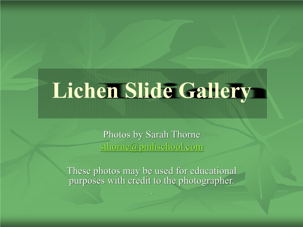 Lichen Slide Gallery