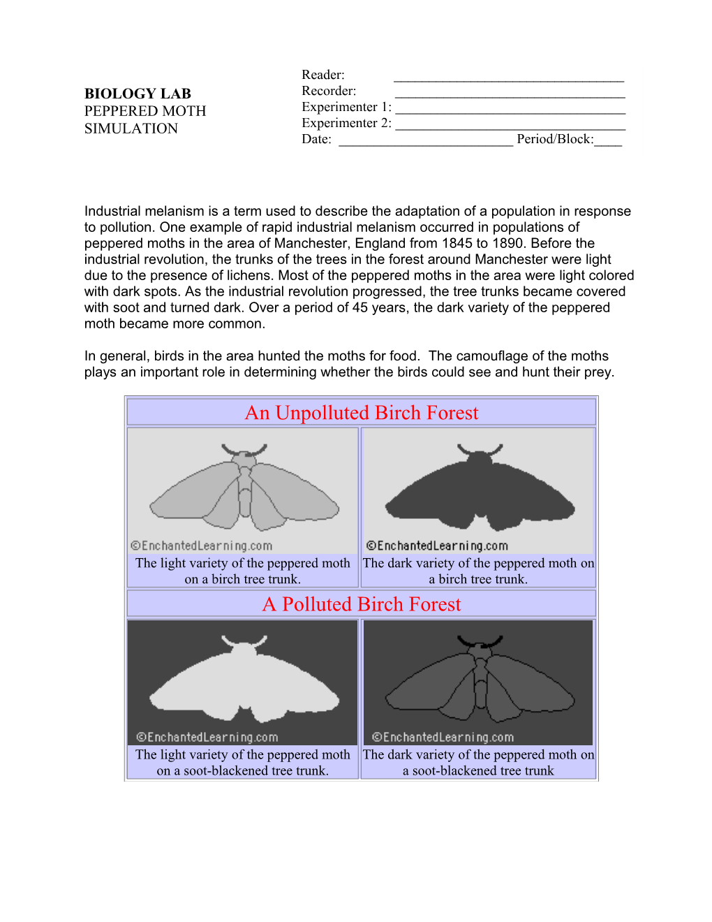 Biology (Peppered Moth Lab)