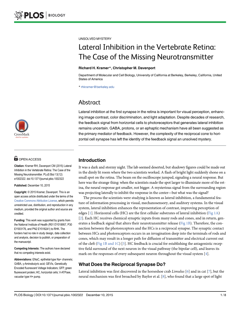Lateral Inhibition in the Vertebrate Retina: the Case of the Missing Neurotransmitter