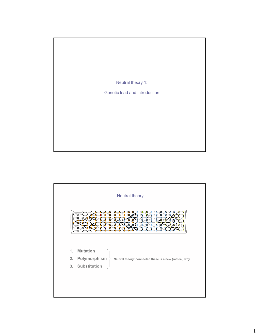 Genetic Load and Introduction Neutral Theory 1. Mutation 2. Polymorphism