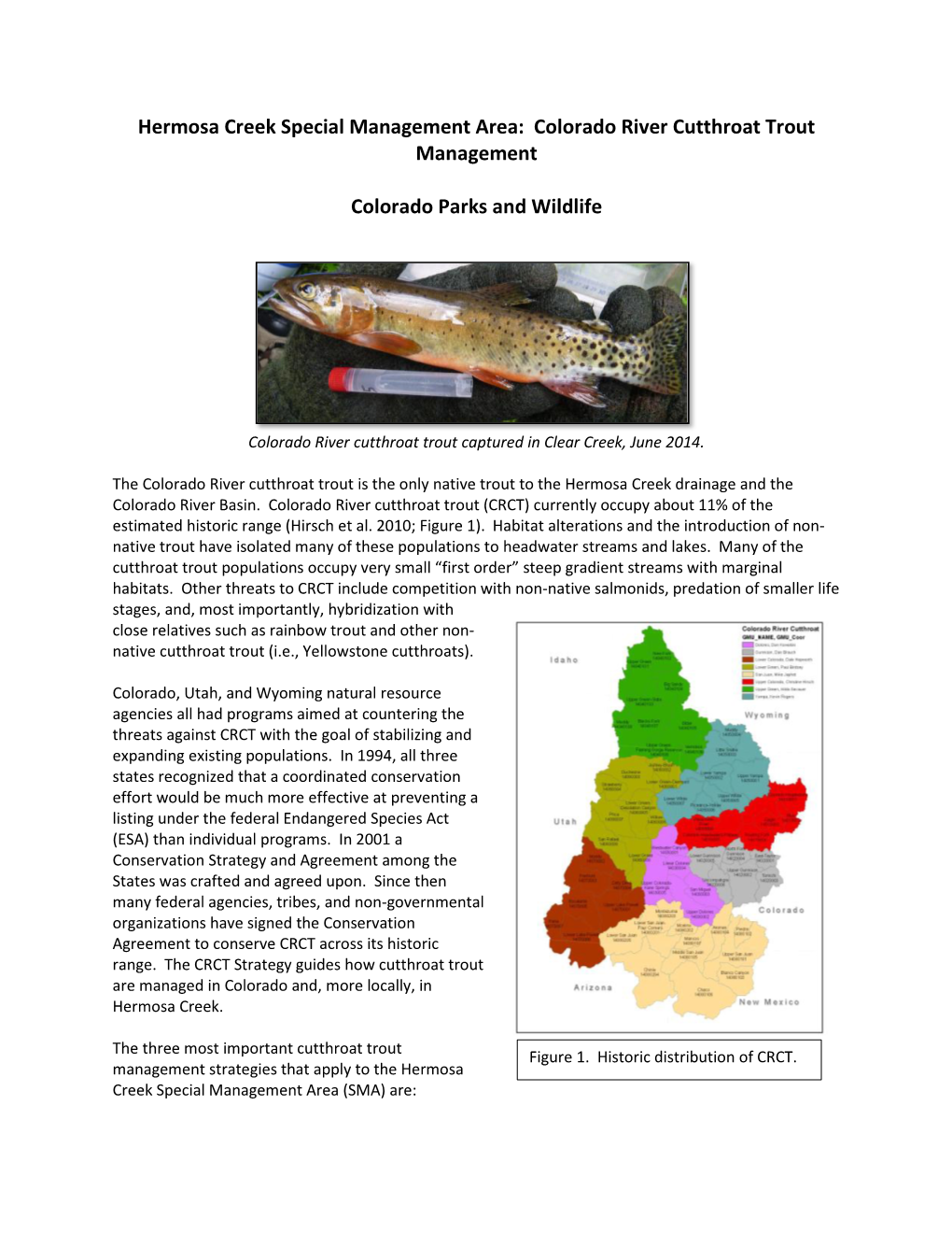 Hermosa Creek Special Management Area: Colorado River Cutthroat Trout Management