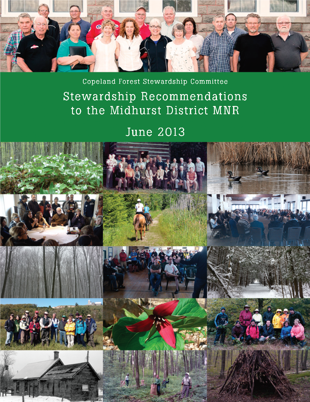Copeland Forest Stewardship Initiative Project Coordinator)