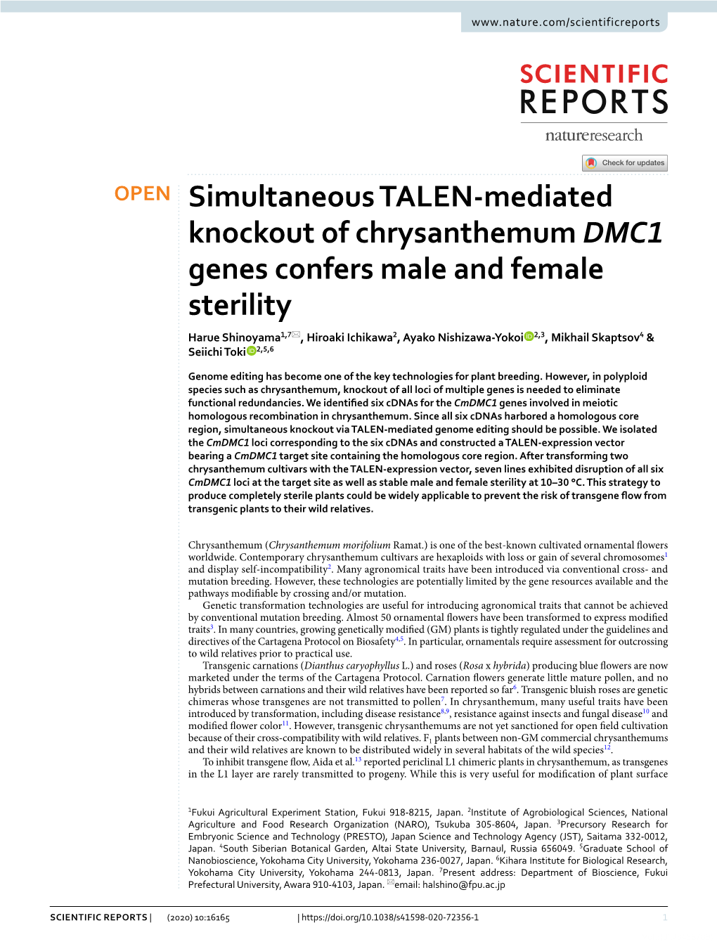 Simultaneous TALEN-Mediated Knockout of Chrysanthemum DMC1 Genes Confers Male and Female Sterility