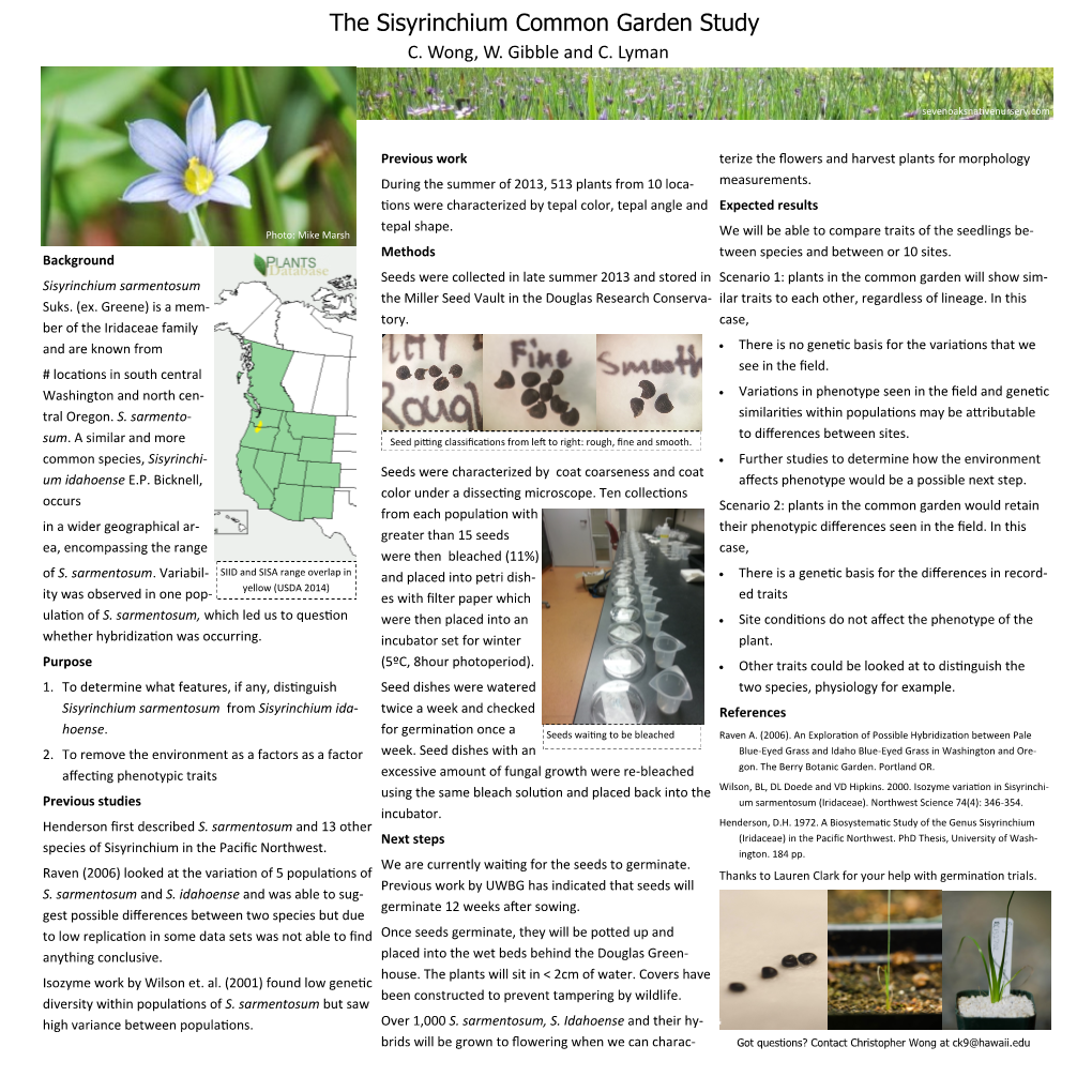 The Sisyrinchium Common Garden Study C