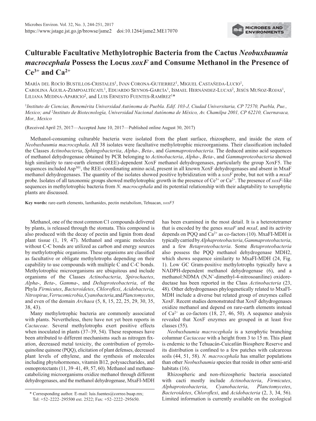 Culturable Facultative Methylotrophic Bacteria from the Cactus Neobuxbaumia Macrocephala Possess the Locus Xoxf and Consume Methanol in the Presence of Ce3+ and Ca2+