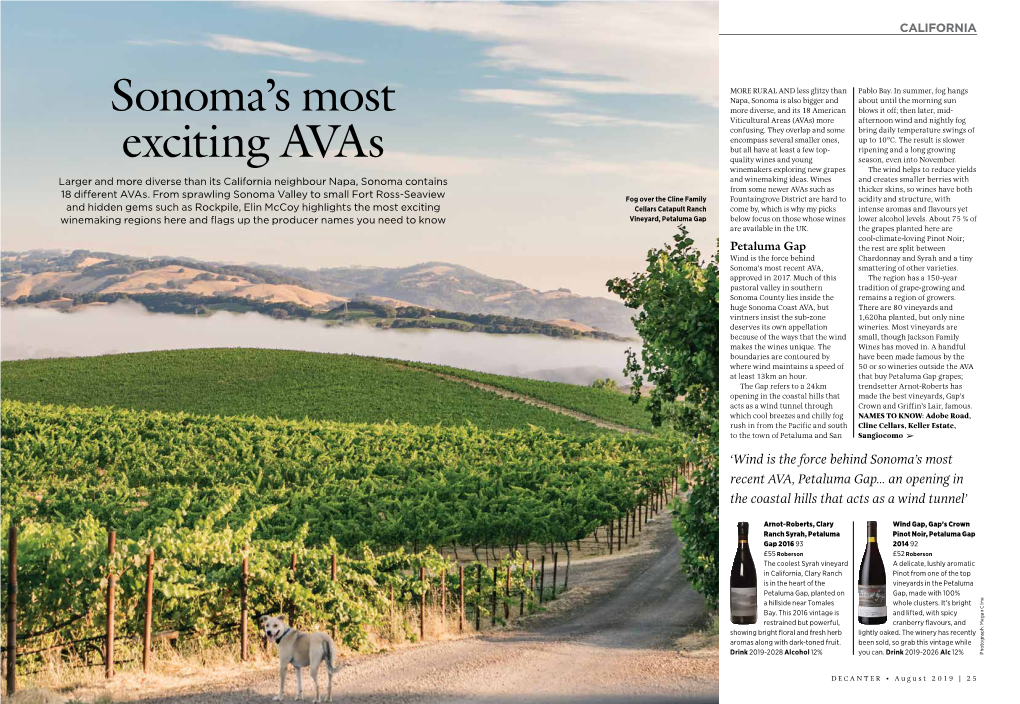 Sonoma's Most Exciting Avas