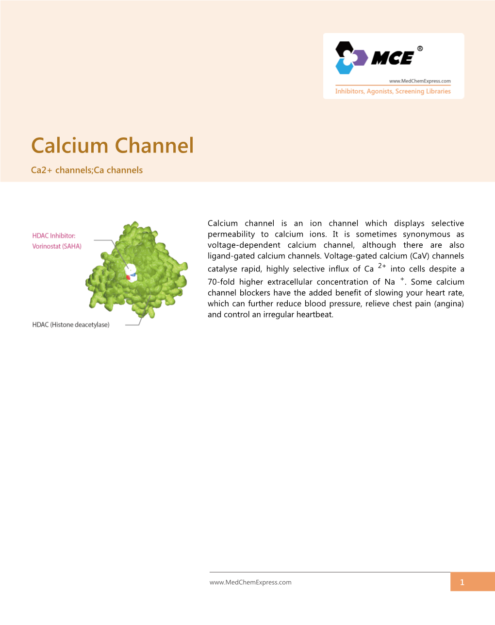 Calcium Channel Ca2+ Channels;Ca Channels