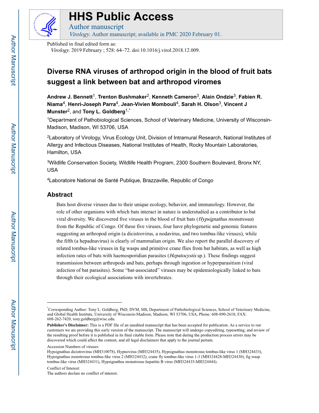 Diverse RNA Viruses of Arthropod Origin in the Blood of Fruit Bats Suggest a Link Between Bat and Arthropod Viromes