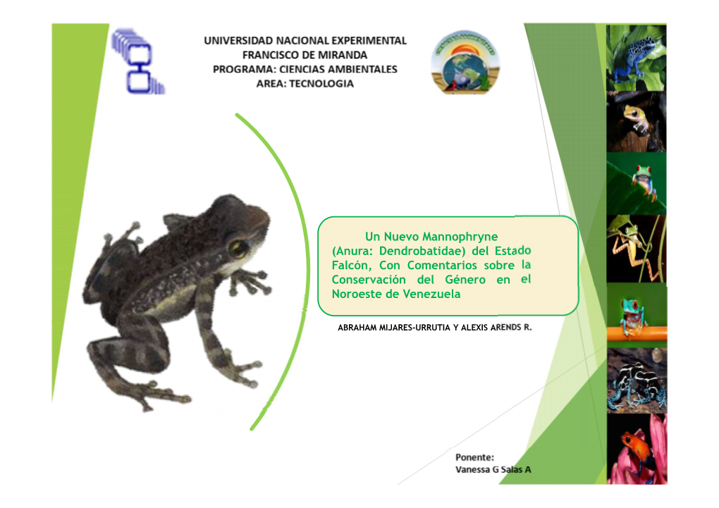 Un Nuevo Mannophryne (Anura: Dendrobatidae) Del Estado Falcón, Con Comentarios Sobre La Conservación Del Género En El Noroeste De Venezuela