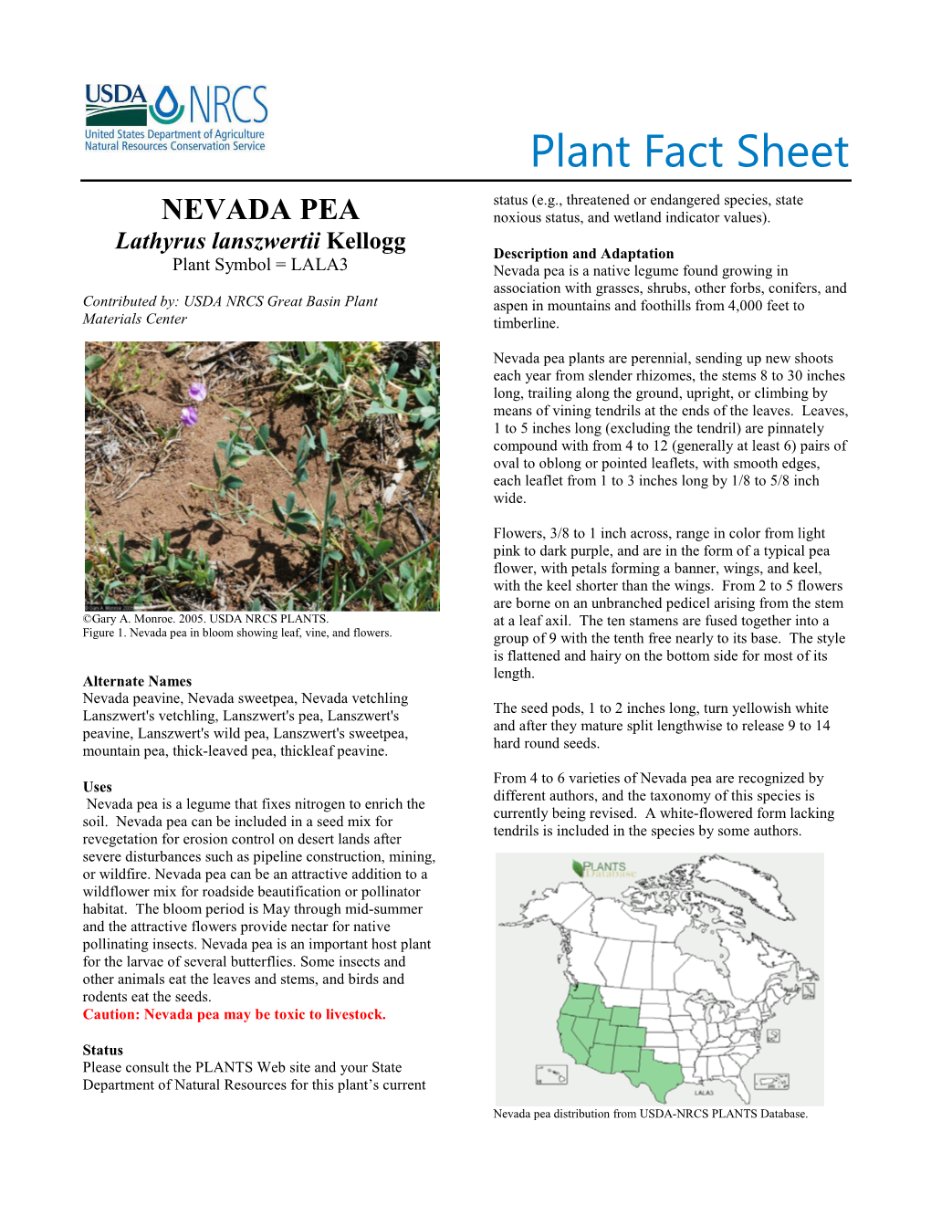 Plant Fact Sheet Lathyrus Lanszwertii