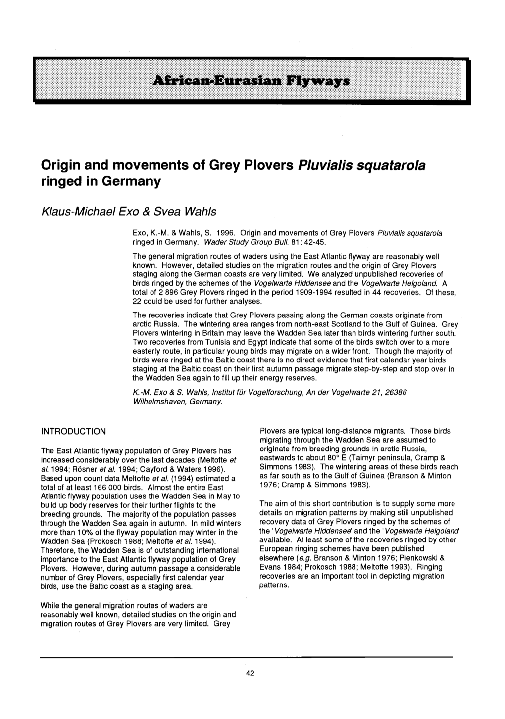 Origin and Movements of Grey Plovers <I>Pluvialis Squatarola</I> Ringed