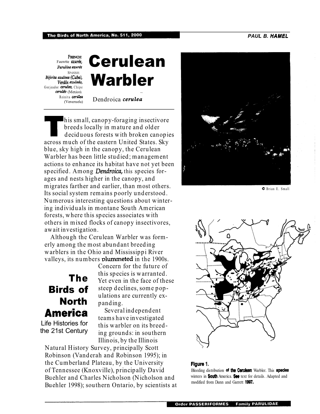 Cerulean Warbler Has Been Little Studied; Management Actions to Enhance Its Habitat Have Not Yet Been Specified