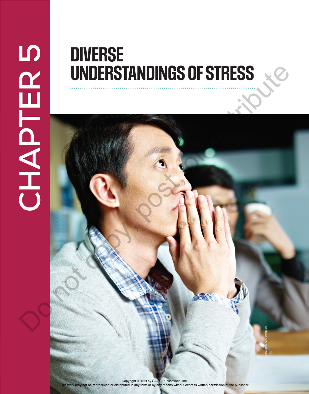 Chapter 5. Diverse Understandings of Stress