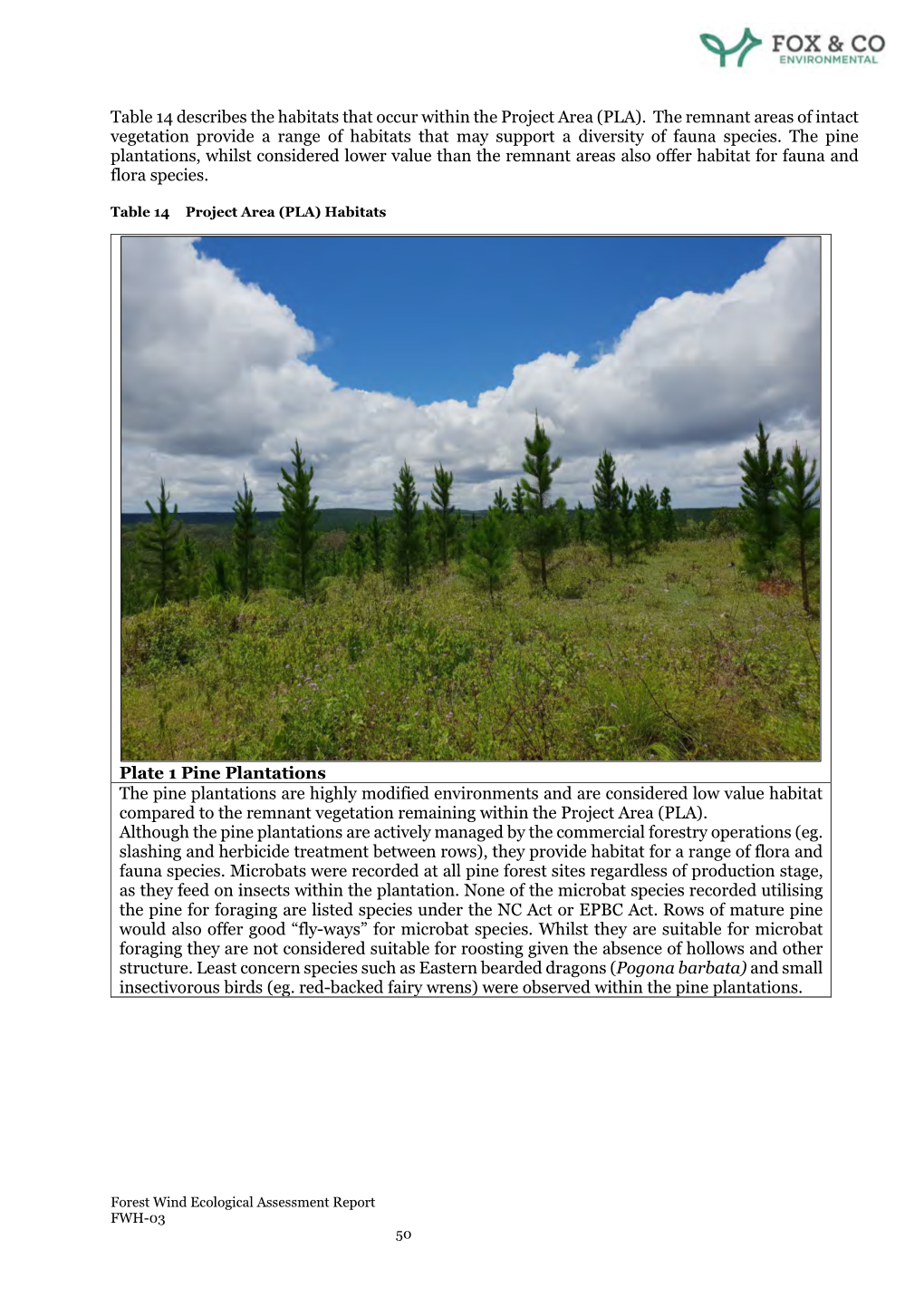 Forest Wind Ecological Assessment Report FWH-03 50