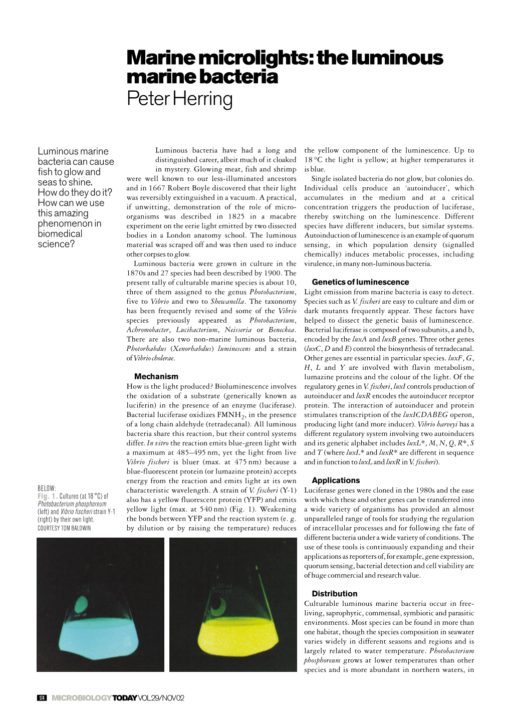 Marine Microlights: the Luminous Marine Bacteria Peter Herring