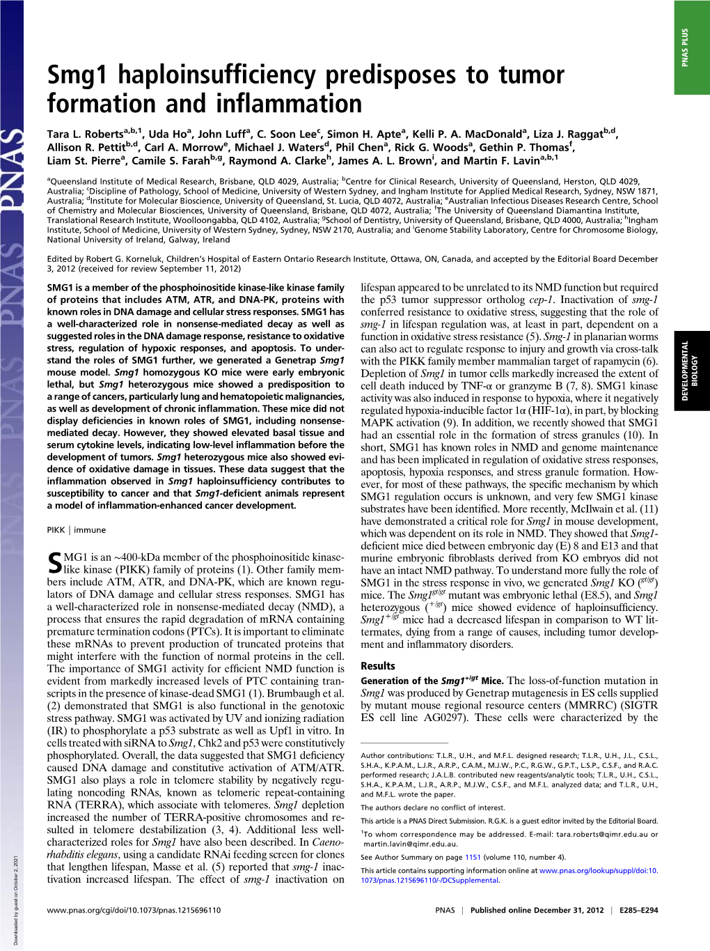 Smg1 Haploinsufﬁciency Predisposes to Tumor PNAS PLUS Formation and Inﬂammation