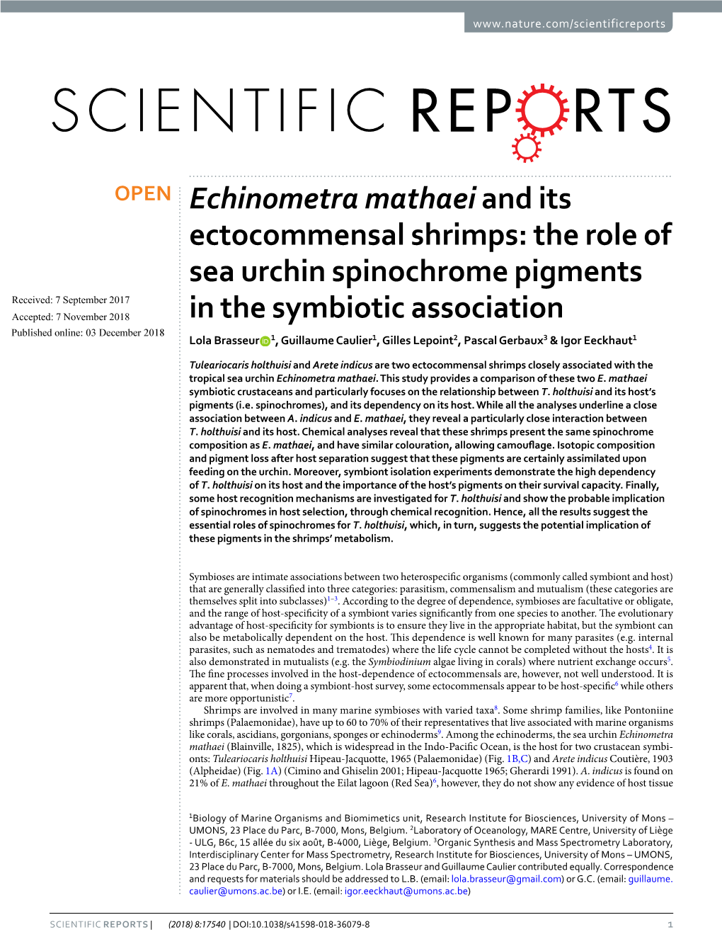 Echinometra Mathaei and Its Ectocommensal Shrimps: the Role Of