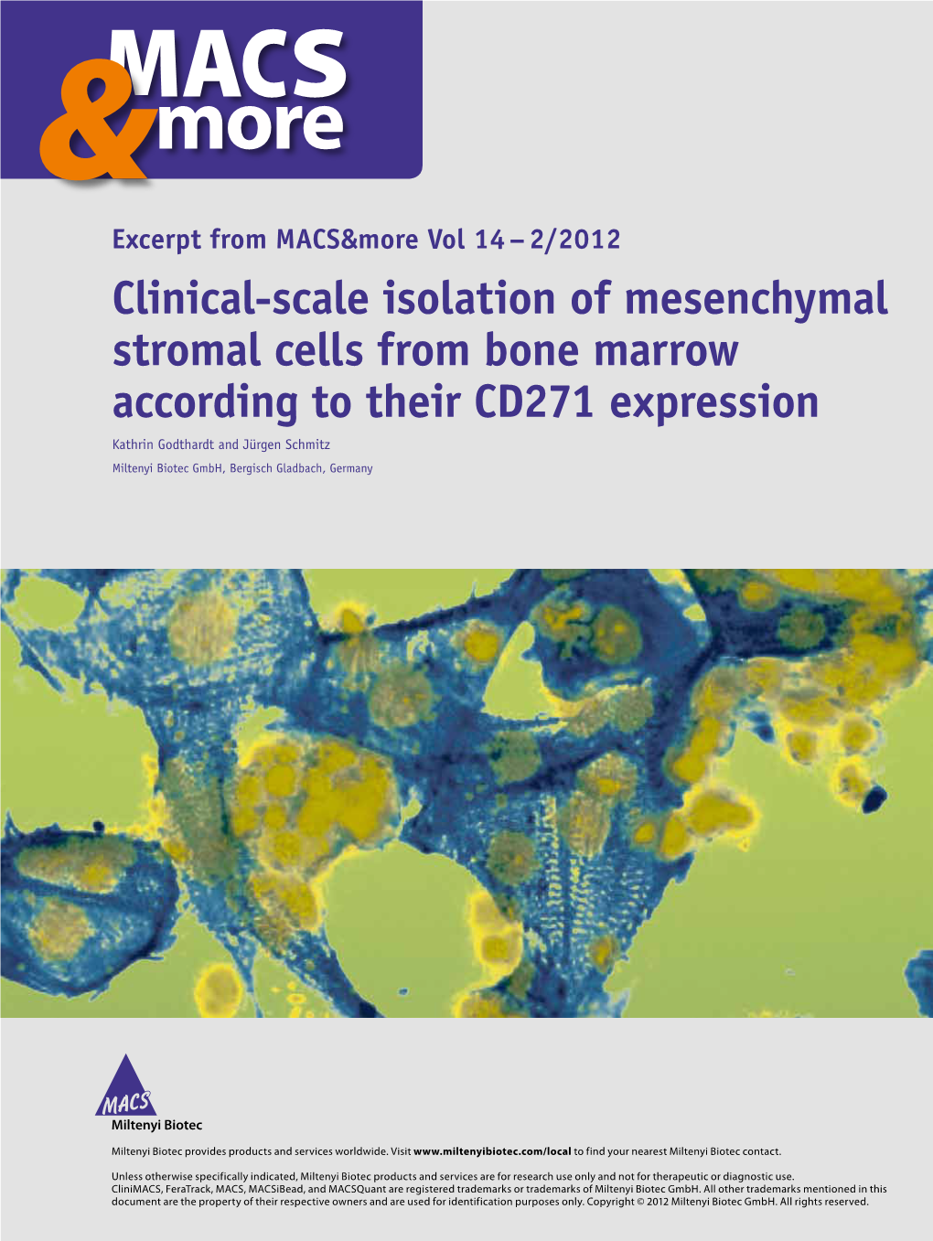 Clinical-Scale Isolation of Mesenchymal Stromal Cells From