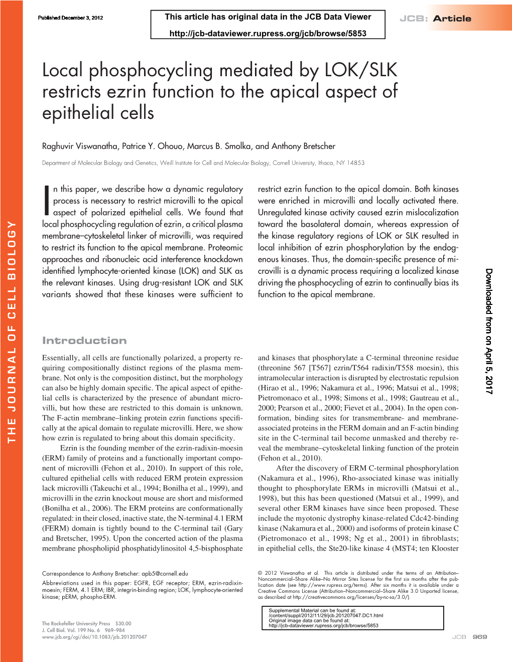 Local Phosphocycling Mediated by LOK/SLK Restricts Ezrin Function to the Apical Aspect of Epithelial Cells