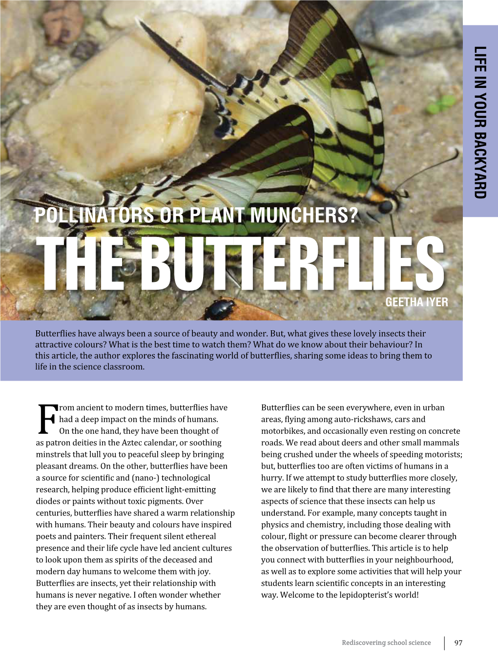 Pollinators Or Plant Munchers? the Butterflies Geetha Iyer