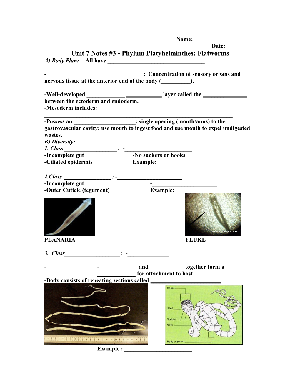 Unit 7 Notes #3 - Phylum Platyhelminthes: Flatworms