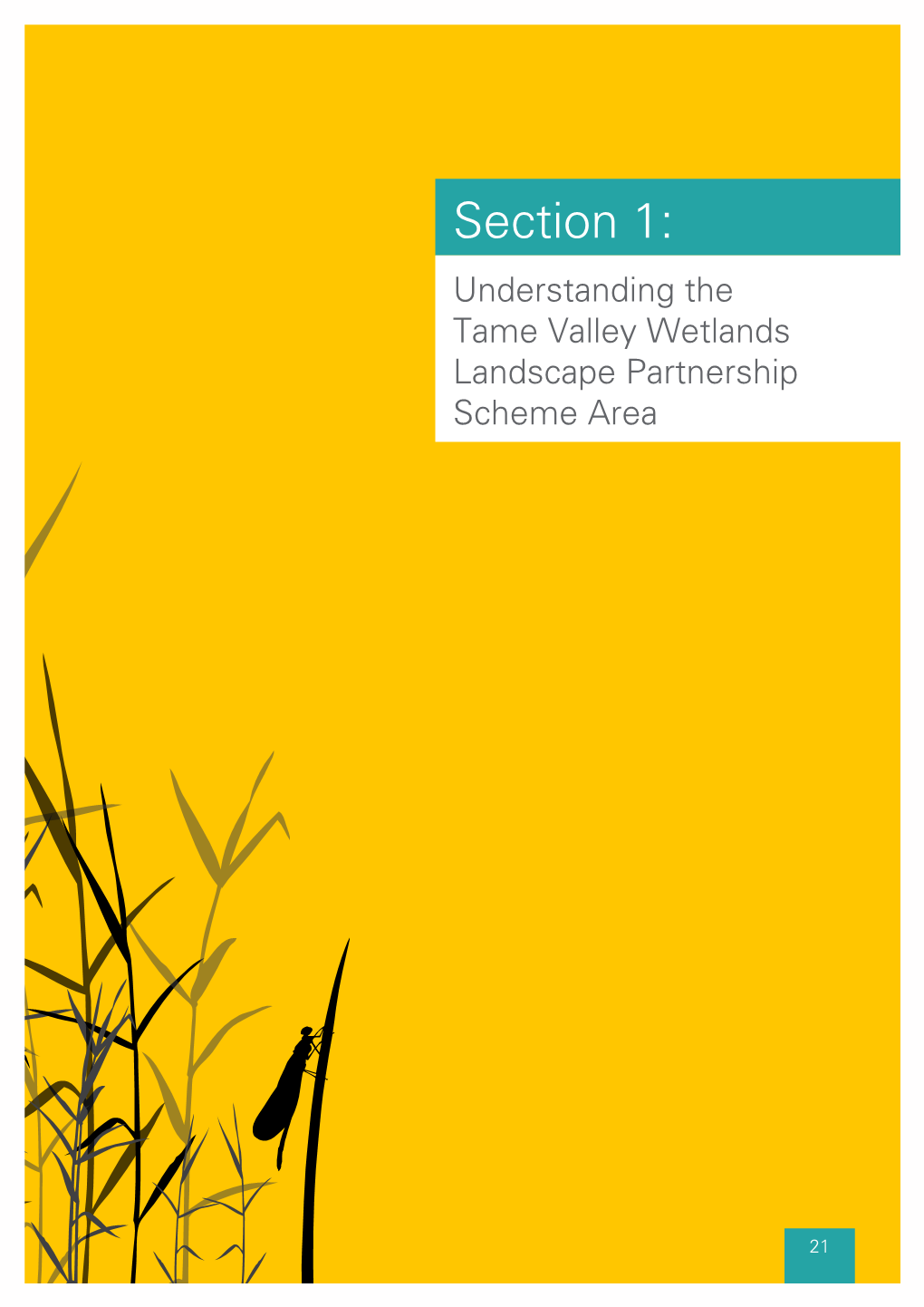 Section 1 – Understanding the TVWLPS Area