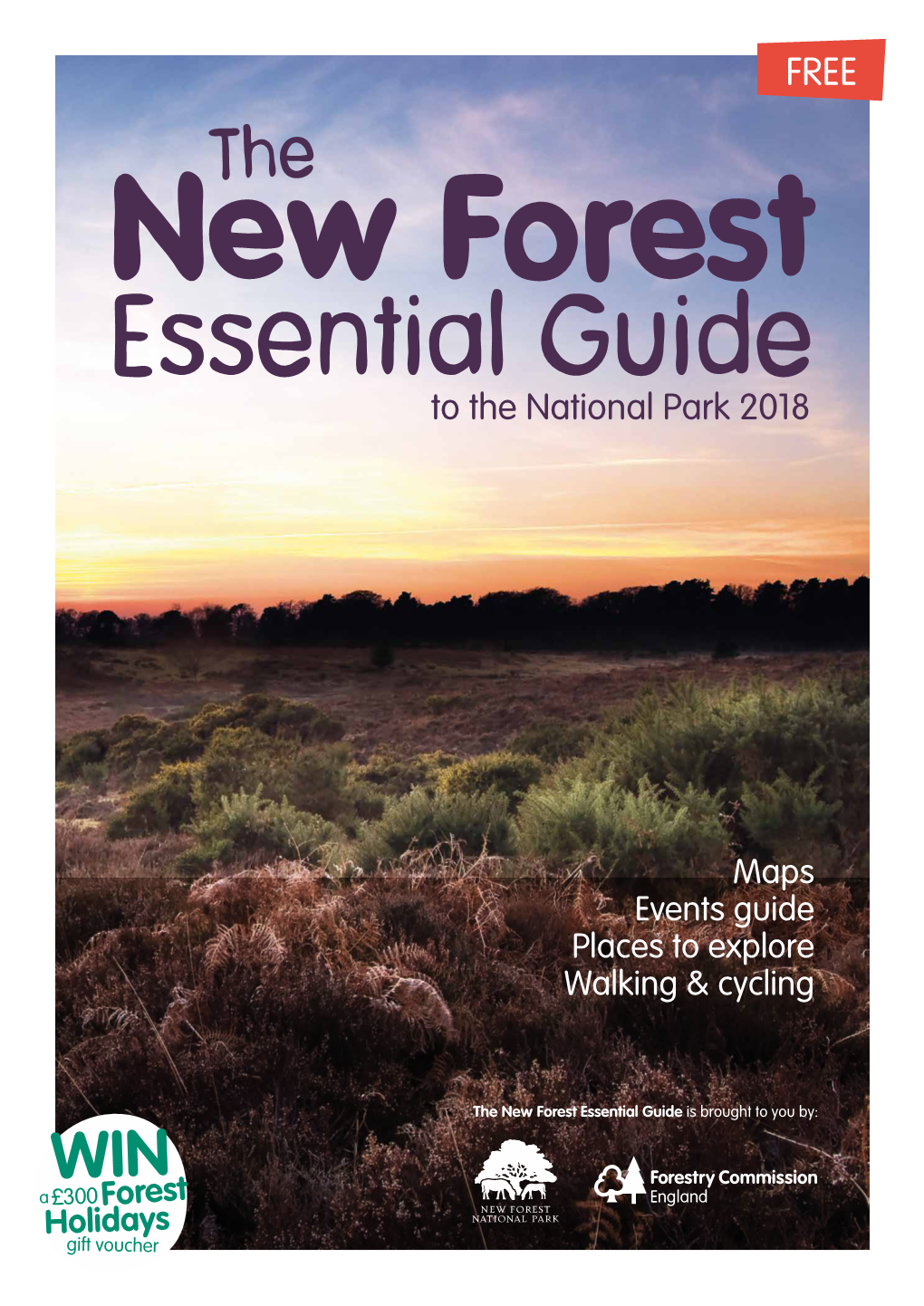 New Forest Essential Guide to the National Park 2018