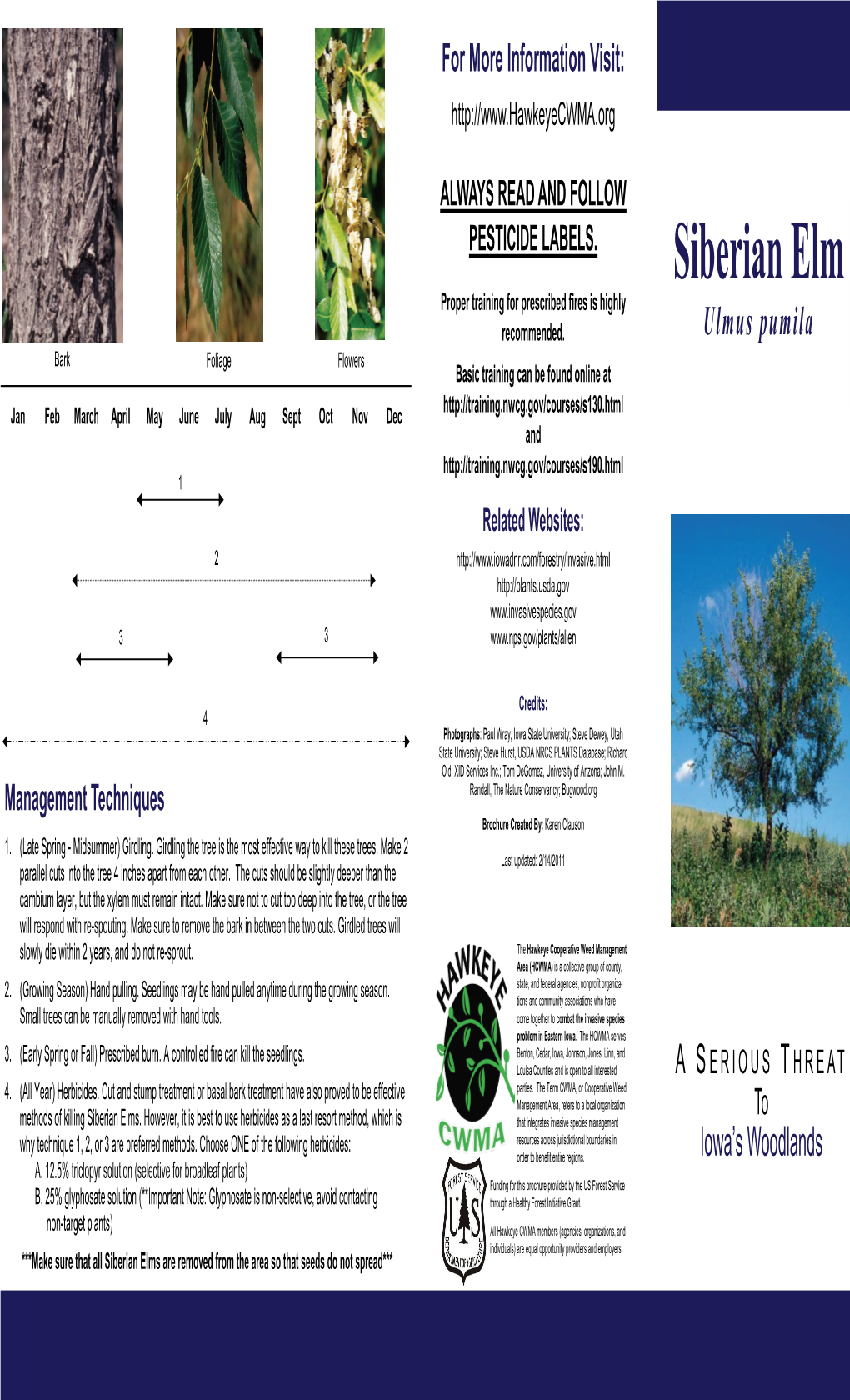 Siberian Elm Proper Training for Prescribed Fires Is Highly Recommended