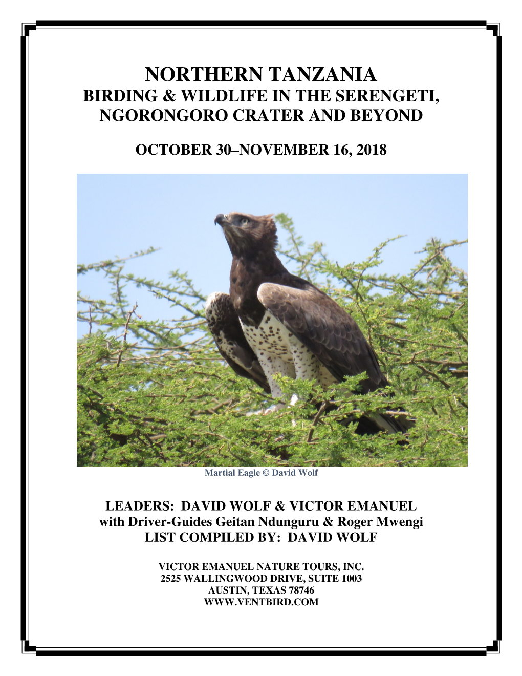 Northern Tanzania Birding & Wildlife in the Serengeti, Ngorongoro Crater and Beyond