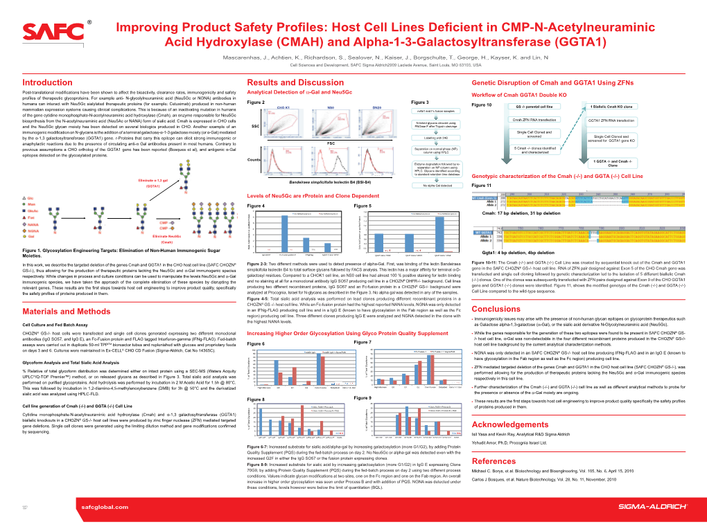 Improving Product Safety Profiles: Host Cell Lines Deficient in CMP-N-Acetylneuraminic Acid Hydroxylase (CMAH) and Alpha-1-3-Galactosyltransferase (GGTA1)