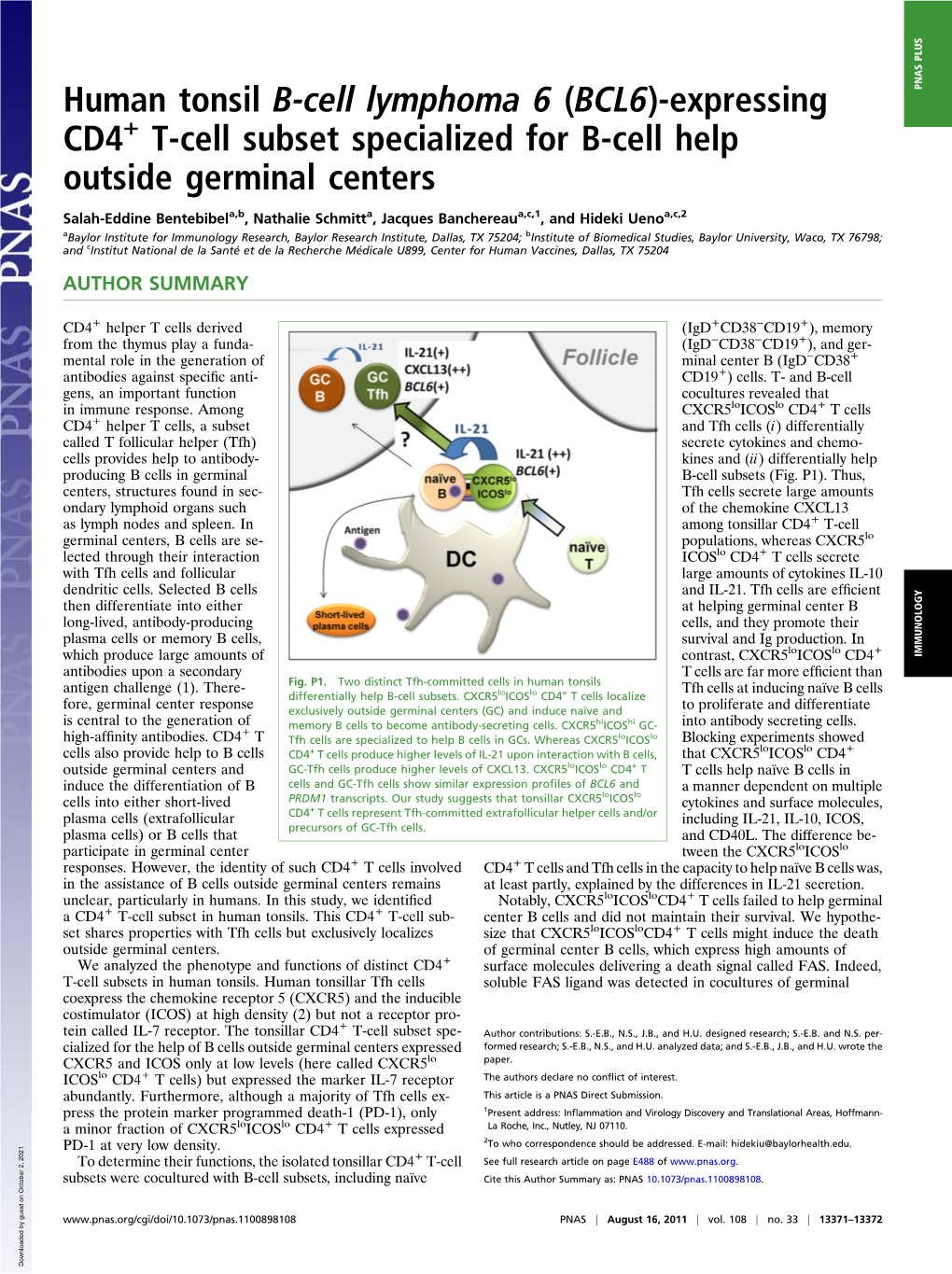 (BCL6)-Expressing CD4 T-Cell Subset Specialized for B-Cell Help