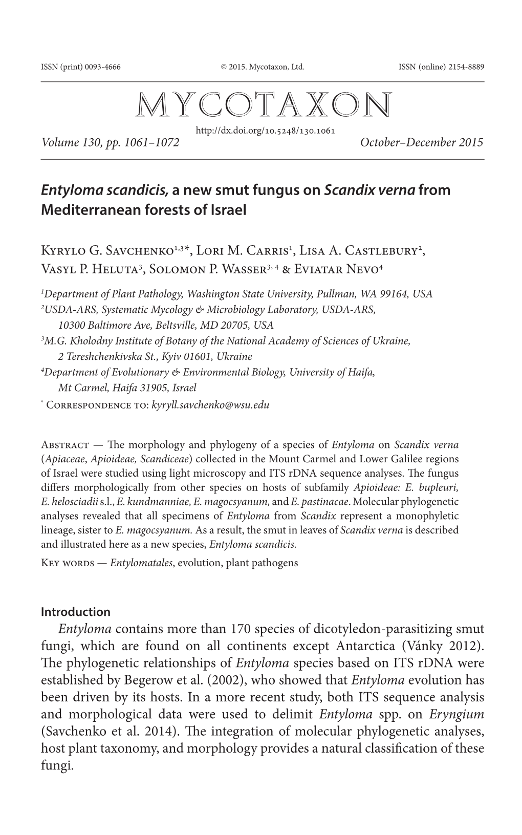 <I>Entyloma Scandicis