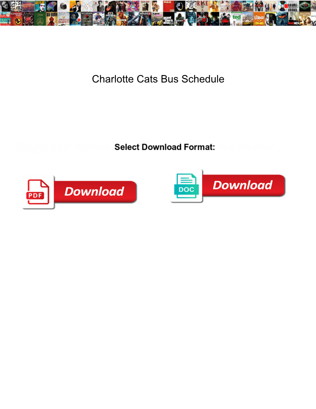Charlotte Cats Bus Schedule