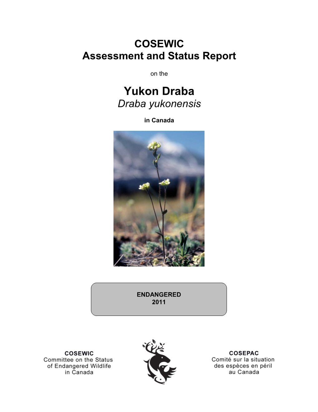 Yukon-Draba-COSEWIC.Pdf