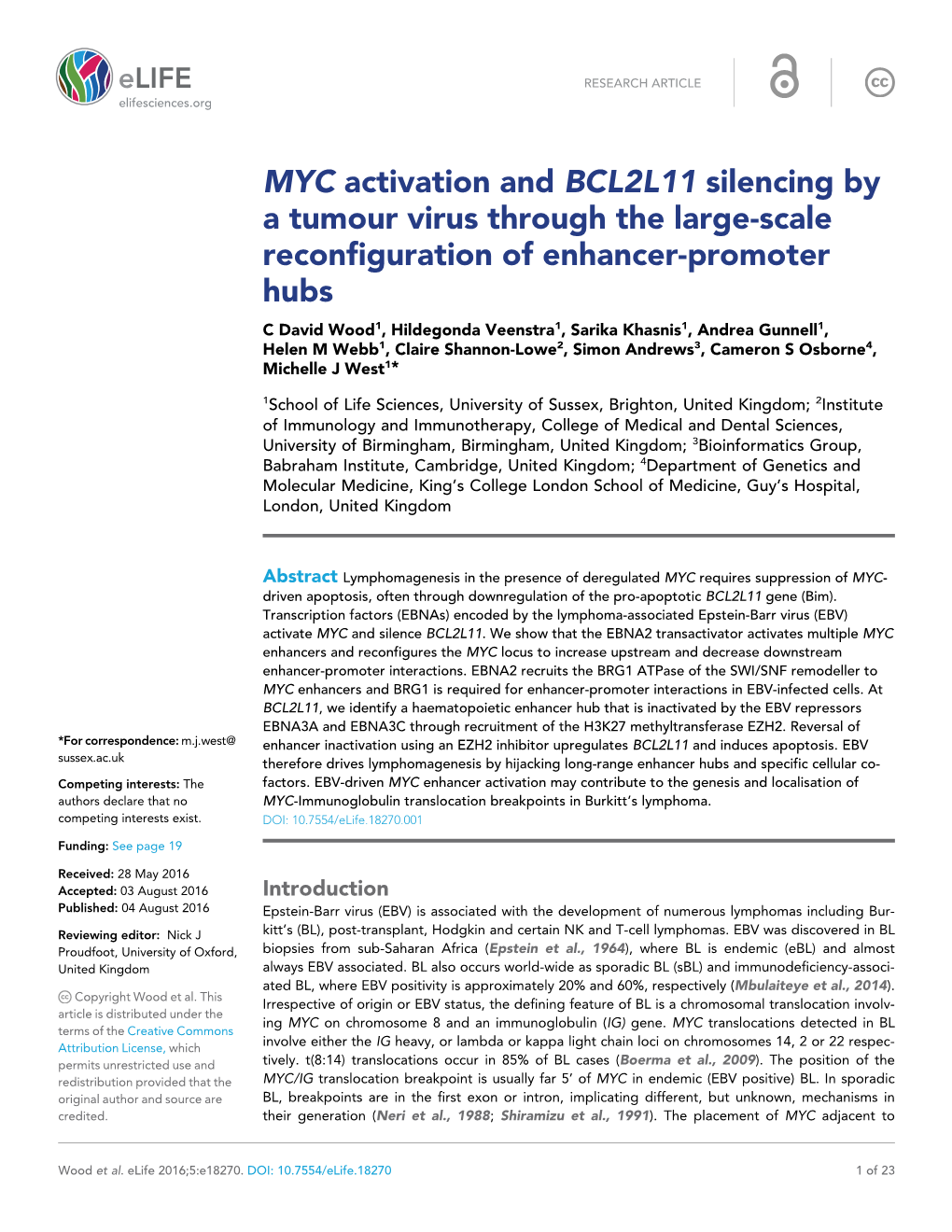 MYC Activation and BCL2L11 Silencing by a Tumour Virus Through