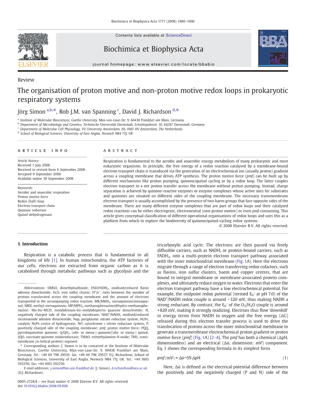 The Organisation of Proton Motive and Non-Proton Motive Redox Loops in Prokaryotic Respiratory Systems