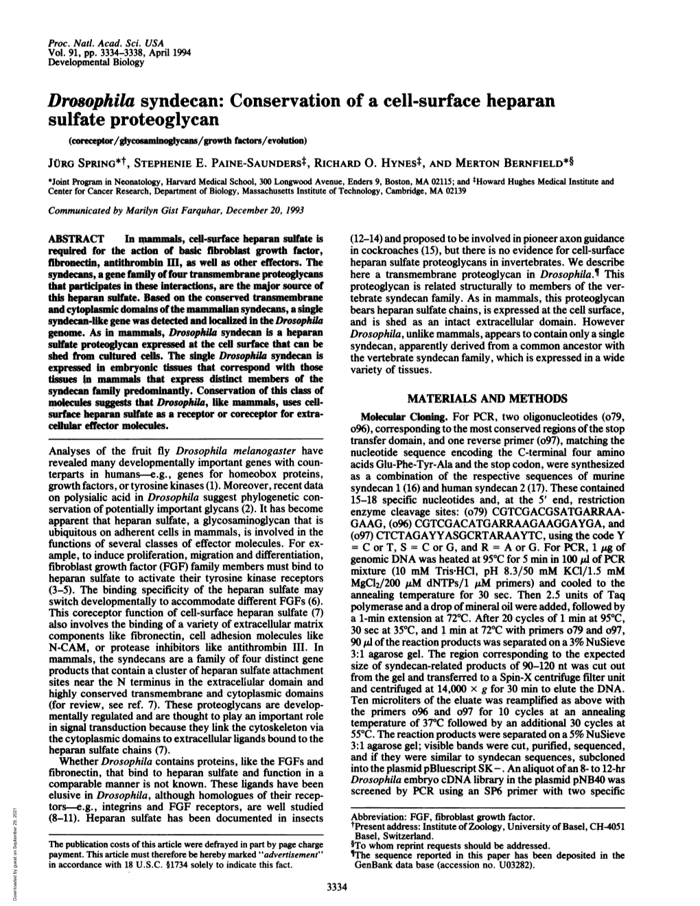 Drosophila Syndecan: Conservation of a Cell-Surface Heparan Sulfate Proteoglycan (Orcptor/Glycamnglcas/Wgrowth Factors/Evolution) JURG SPRING*T, STEPHENIE E