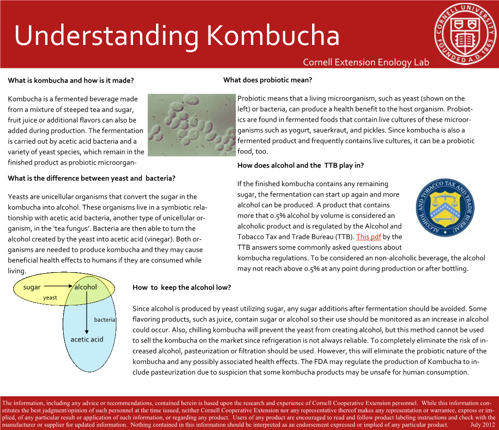 Understanding Kombucha Cornell Extension Enology Lab