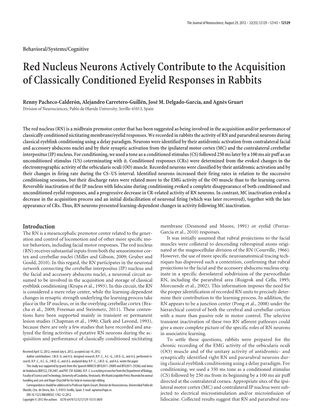 Red Nucleus Neurons Actively Contribute to the Acquisition of Classically Conditioned Eyelid Responses in Rabbits