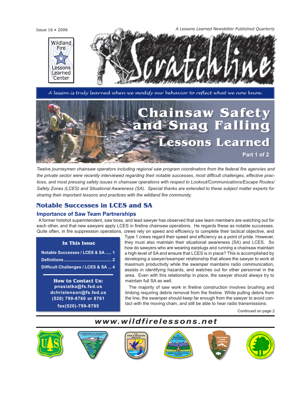 Chainsaw Safety and Snag Falling Lessons Learned Part 1 of 2