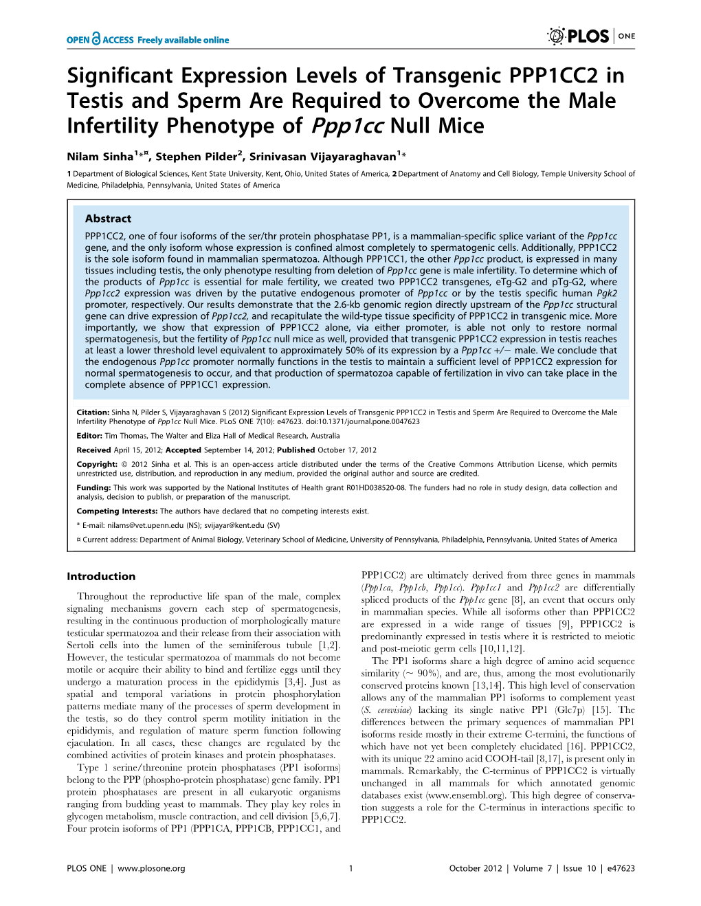 Significant Expression Levels of Transgenic PPP1CC2 in Testis and Sperm Are Required to Overcome the Male Infertility Phenotype of Ppp1cc Null Mice