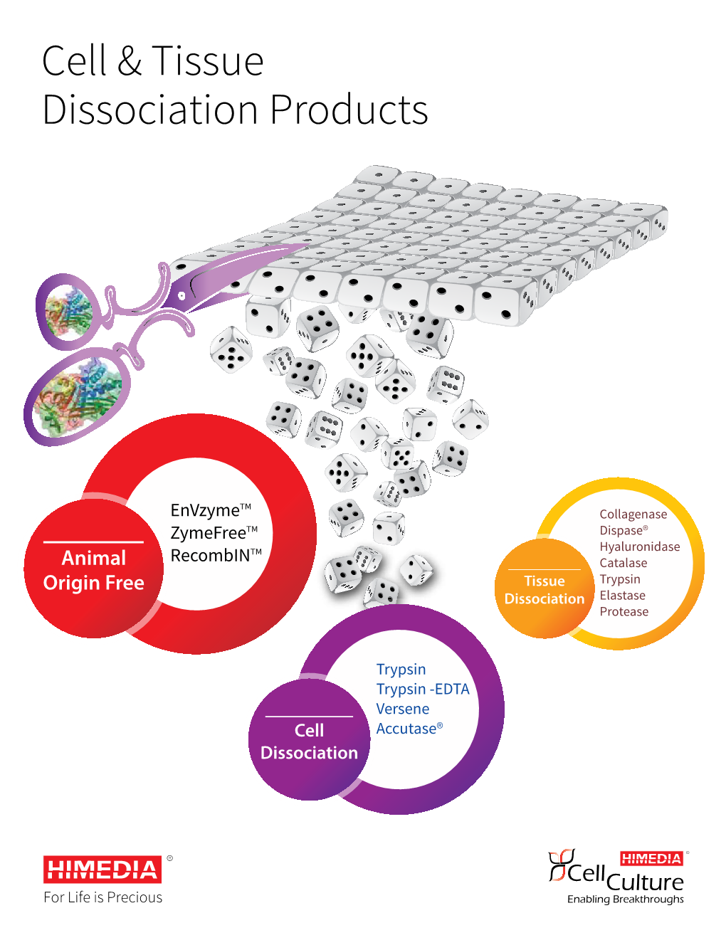 Cell & Tissue Dissociation Products