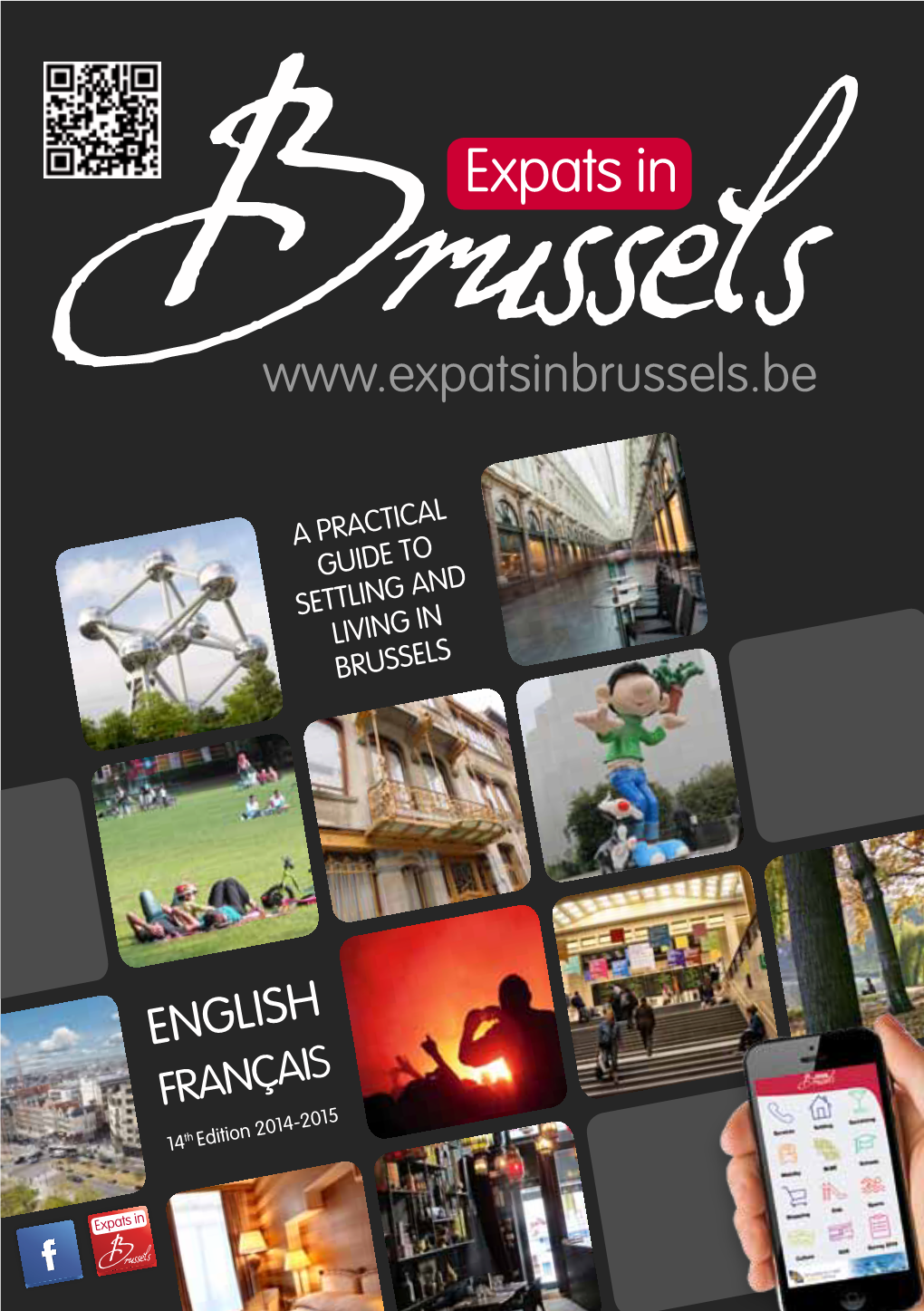 Expats in Brussels, Settling and Living in Brussels