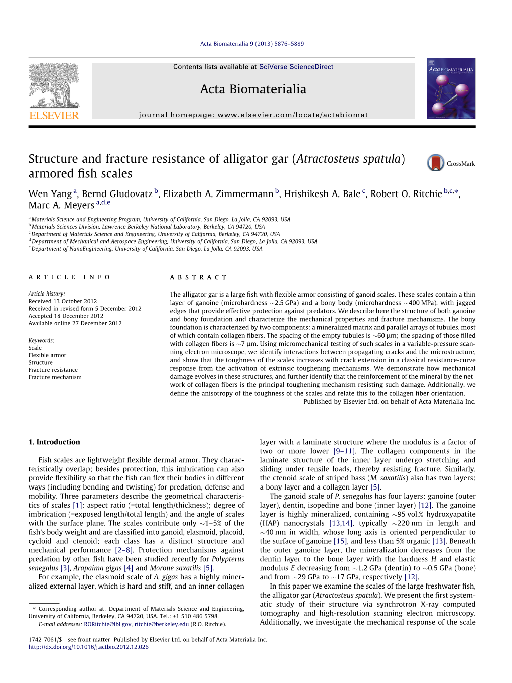 Structure and Fracture Resistance of Alligator Gar (Atractosteus Spatula) Armored ﬁsh Scales ⇑ Wen Yang A, Bernd Gludovatz B, Elizabeth A