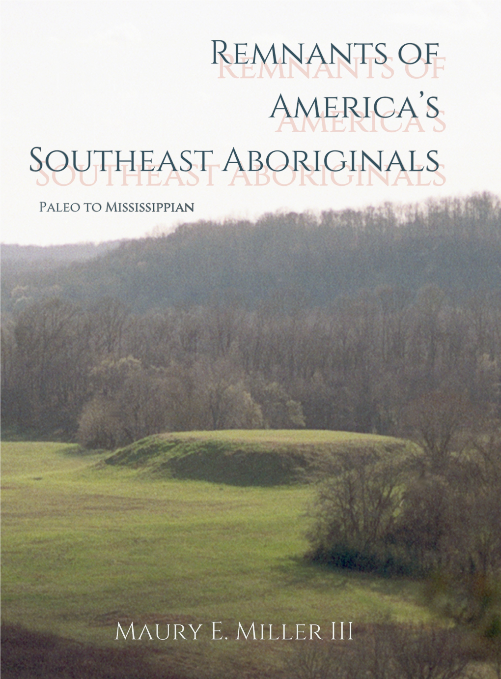 Remnants of America's Southeast Aborig
